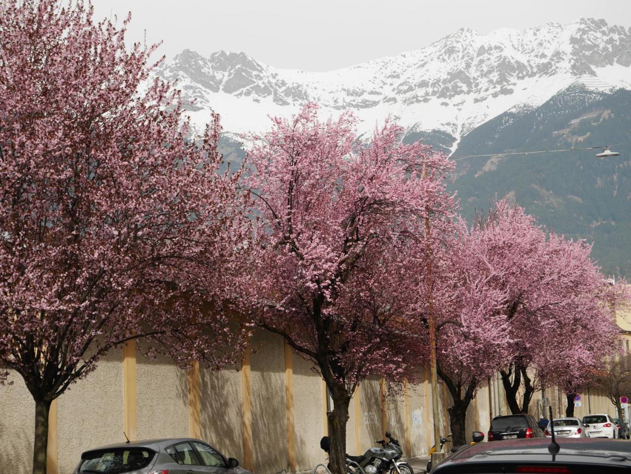 Appartement S14 - & Innsbruck