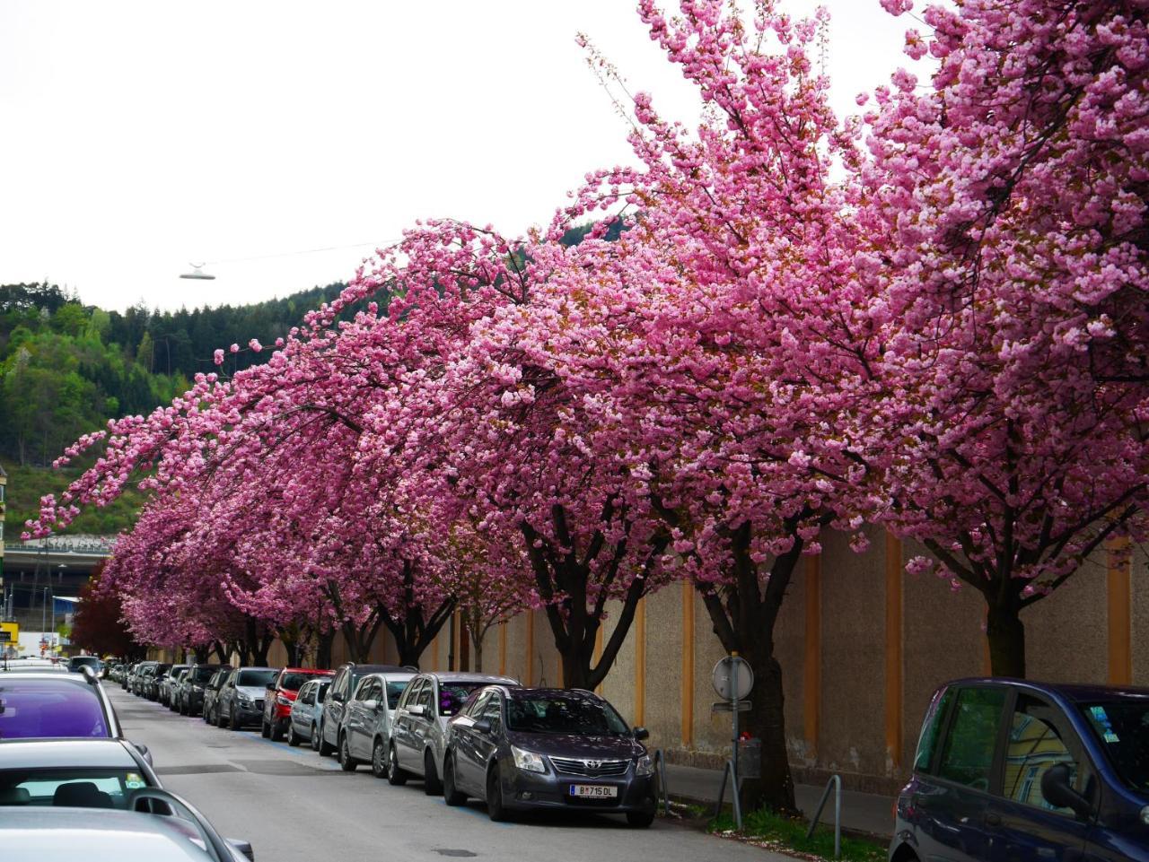 S14 - & Appartement